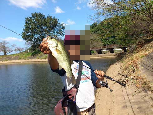 f:id:puchitenshi:20130924195851j:image