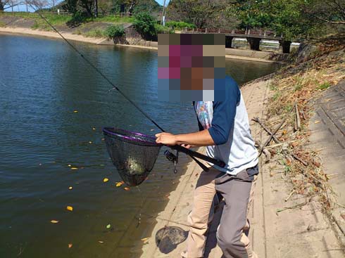 f:id:puchitenshi:20130924195929j:image