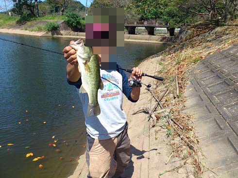 f:id:puchitenshi:20130924195940j:image