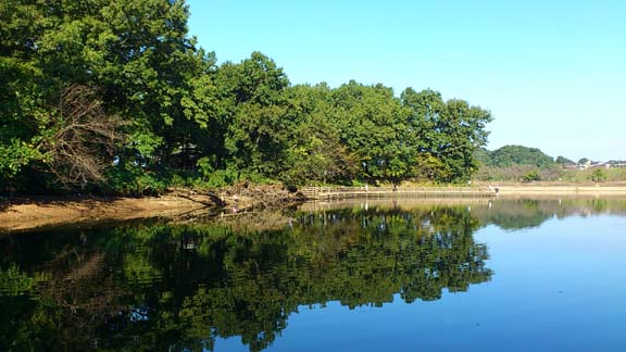 f:id:puchitenshi:20130928214027j:image