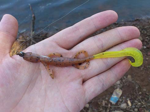 f:id:puchitenshi:20130928214054j:image