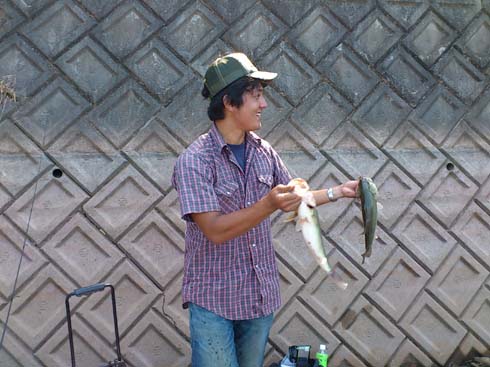 f:id:puchitenshi:20130928214422j:image