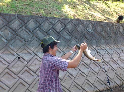 f:id:puchitenshi:20130928214430j:image