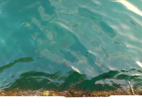 f:id:puchitenshi:20131006154944j:image f:id:puchitenshi:20131006154944j:image