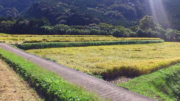 f:id:puchitenshi:20131015225025j:image