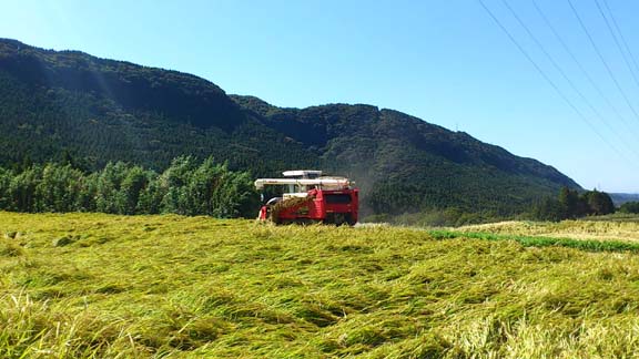 f:id:puchitenshi:20131015225038j:image