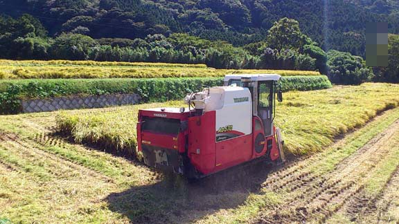 f:id:puchitenshi:20131015225059j:image