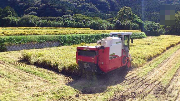 f:id:puchitenshi:20131015225113j:image