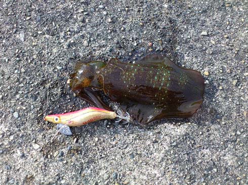 f:id:puchitenshi:20131022095907j:image f:id:puchitenshi:20131022095907j:image