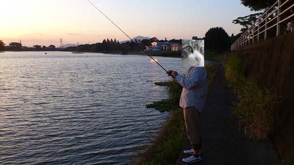 f:id:puchitenshi:20131026171556j:image f:id:puchitenshi:20131026171556j:image