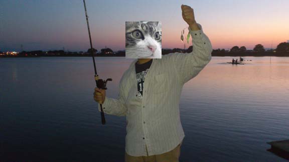 f:id:puchitenshi:20131026175821j:image f:id:puchitenshi:20131026175821j:image