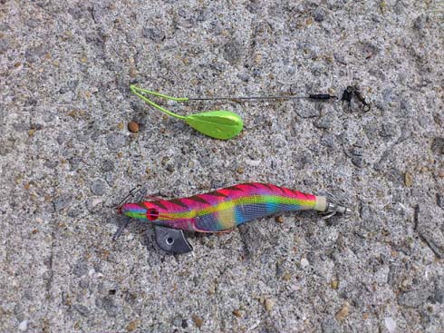 f:id:puchitenshi:20131030093300j:image