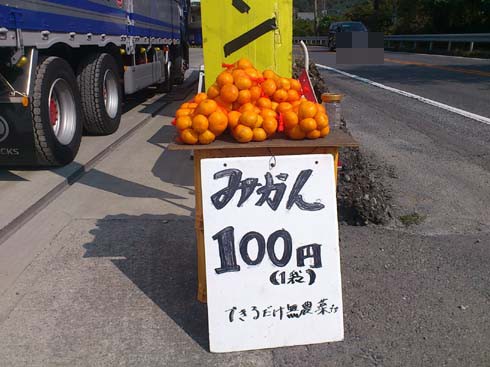 f:id:puchitenshi:20131110174338j:image