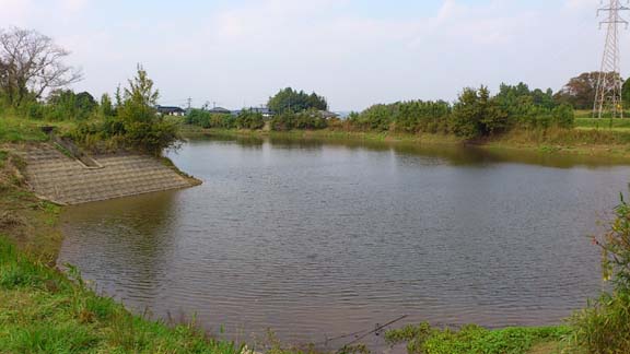 f:id:puchitenshi:20131115224341j:image