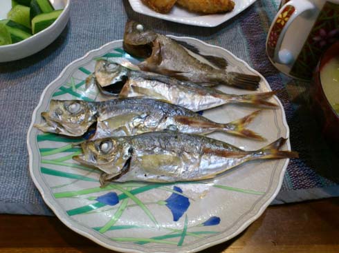 f:id:puchitenshi:20131115224825j:image