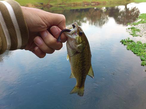 f:id:puchitenshi:20131129200956j:image