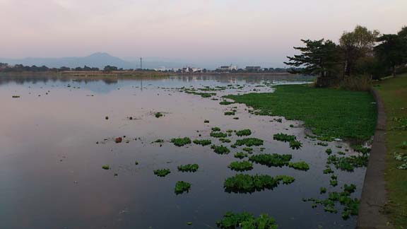 f:id:puchitenshi:20131129201053j:image