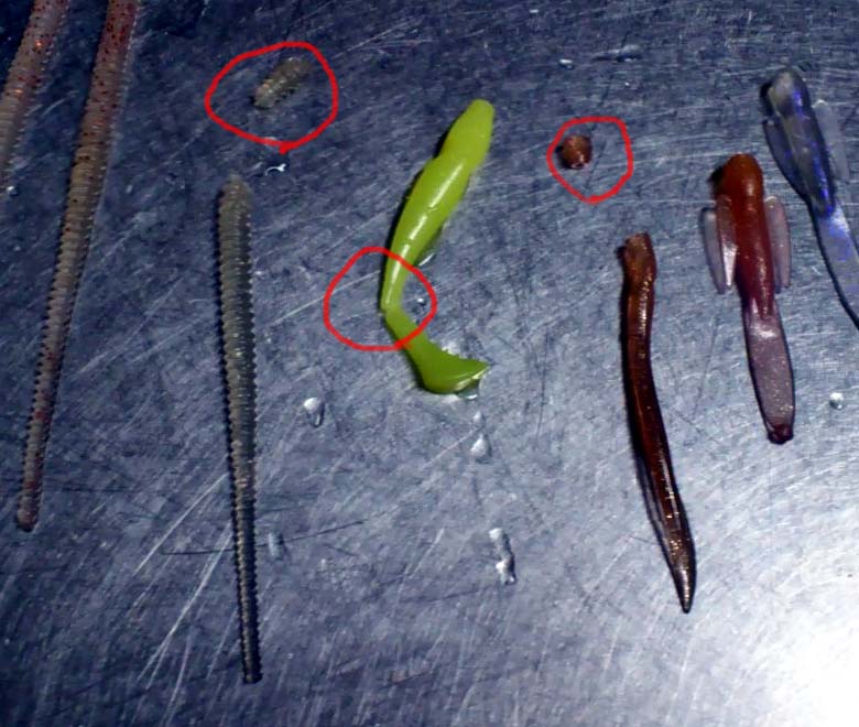 f:id:puchitenshi:20131202000423j:image f:id:puchitenshi:20131202000423j:image