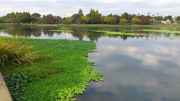 f:id:puchitenshi:20131205024732j:image