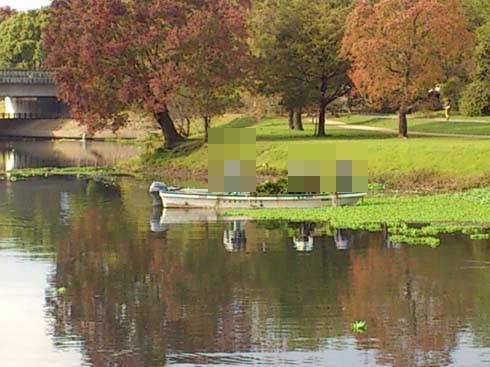 f:id:puchitenshi:20131205024817j:image