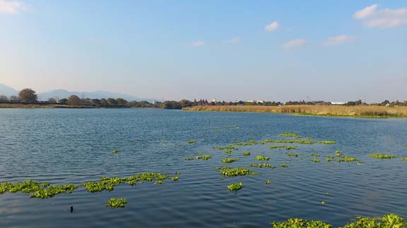 f:id:puchitenshi:20131207145834j:image f:id:puchitenshi:20131207145834j:image