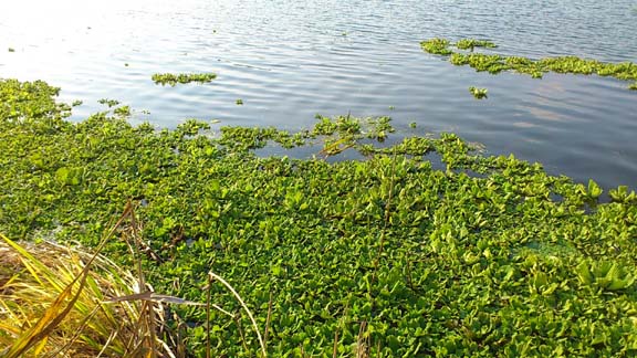 f:id:puchitenshi:20131207145838j:image f:id:puchitenshi:20131207145838j:image