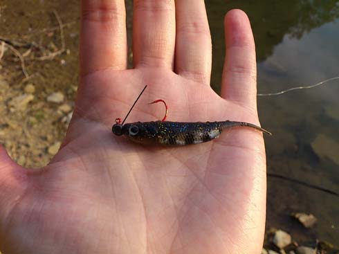 f:id:puchitenshi:20131208000513j:image f:id:puchitenshi:20131208000513j:image