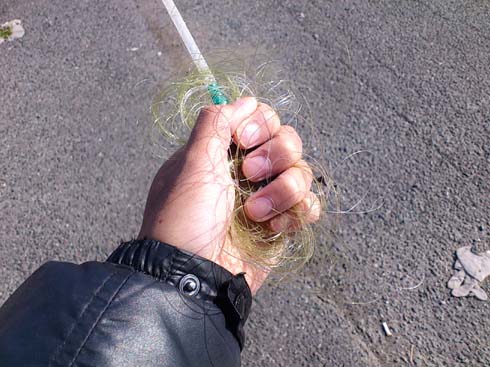 f:id:puchitenshi:20131208123104j:image f:id:puchitenshi:20131208123104j:image