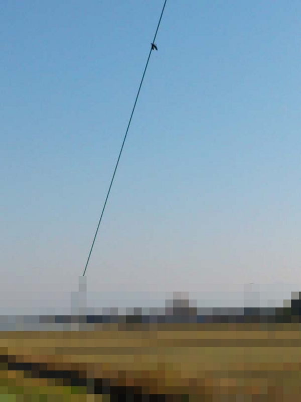 f:id:puchitenshi:20131219021744j:image f:id:puchitenshi:20131219021744j:image