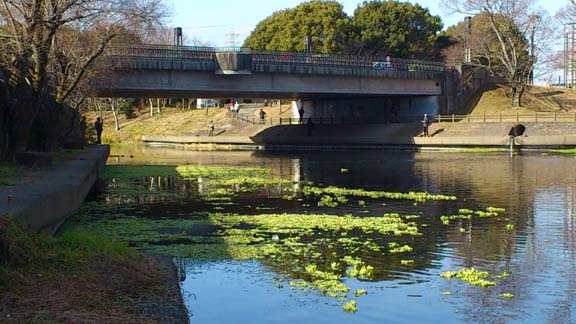 f:id:puchitenshi:20140201003742j:image