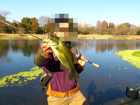 f:id:puchitenshi:20140201003752j:image