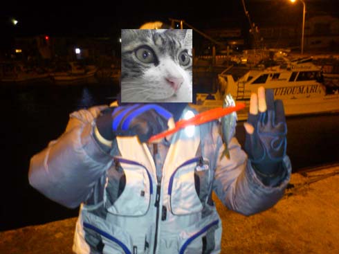 f:id:puchitenshi:20140201214013j:image f:id:puchitenshi:20140201214013j:image