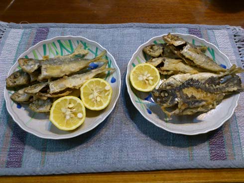 f:id:puchitenshi:20140201214043j:image f:id:puchitenshi:20140201214043j:image