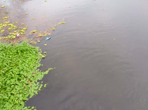 f:id:puchitenshi:20140202234030j:image f:id:puchitenshi:20140202234030j:image