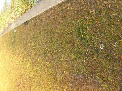 f:id:puchitenshi:20140306002529j:image