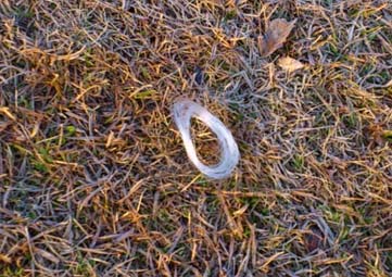 f:id:puchitenshi:20140306002539j:image