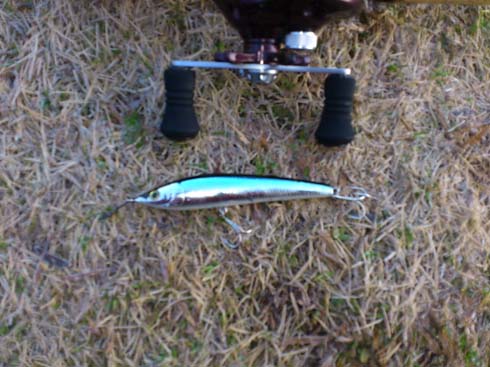 f:id:puchitenshi:20140306002610j:image