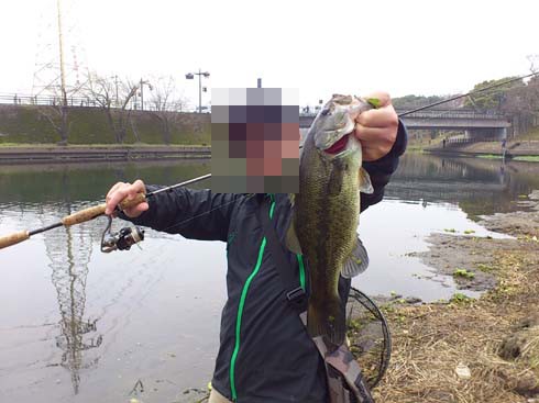 f:id:puchitenshi:20140316020332j:image f:id:puchitenshi:20140316020332j:image