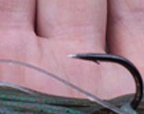 f:id:puchitenshi:20140316020503j:image f:id:puchitenshi:20140316020503j:image