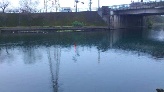 f:id:puchitenshi:20140316020541j:image f:id:puchitenshi:20140316020541j:image