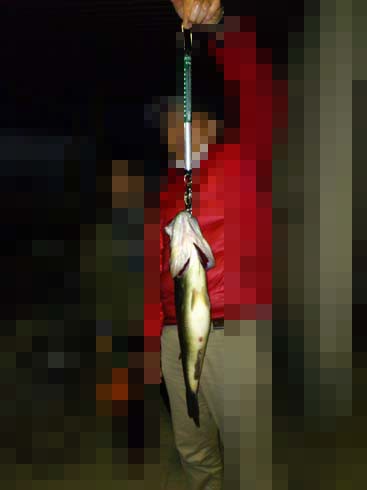 f:id:puchitenshi:20140323211853j:image