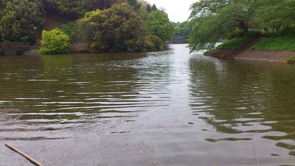 f:id:puchitenshi:20140506215749j:image f:id:puchitenshi:20140506215749j:image