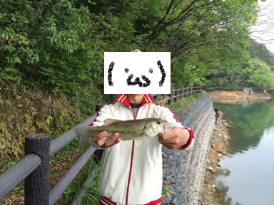 f:id:puchitenshi:20140506215813j:image f:id:puchitenshi:20140506215813j:image