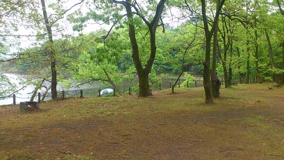 f:id:puchitenshi:20140518001712j:image