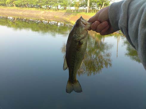 f:id:puchitenshi:20140518001754j:image