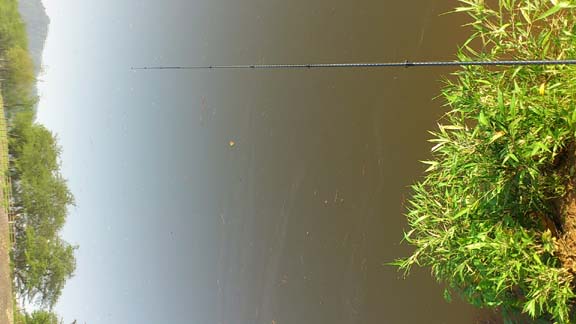 f:id:puchitenshi:20140518001805j:image