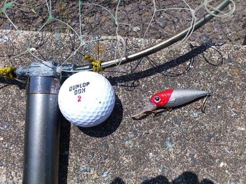 f:id:puchitenshi:20140518001815j:image