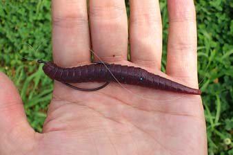 f:id:puchitenshi:20140724002006j:image f:id:puchitenshi:20140724002006j:image