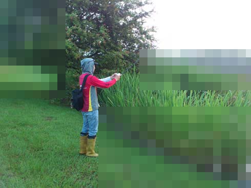 f:id:puchitenshi:20140803225103j:image f:id:puchitenshi:20140803225103j:image