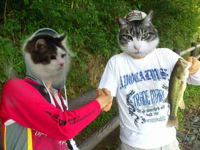 f:id:puchitenshi:20140803225242j:image f:id:puchitenshi:20140803225242j:image